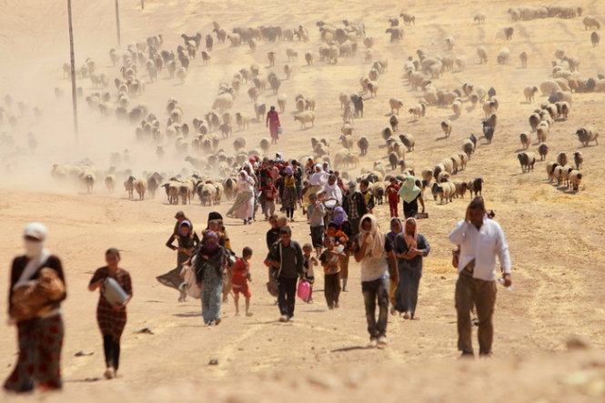 Dòng người tị nhạn đang trốn khỏi lực lượng IS tại Sinjar đi về phía biên giới Syria - Ảnh: Reuters