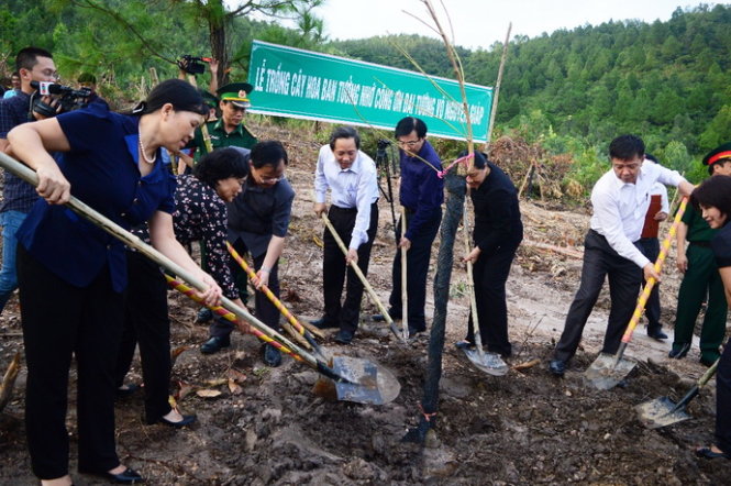 Lãnh đạo hai tỉnh Điện Biên và Quảng Bình trồng hoa ban lên khu mộ Đại tướng chiều 13-9