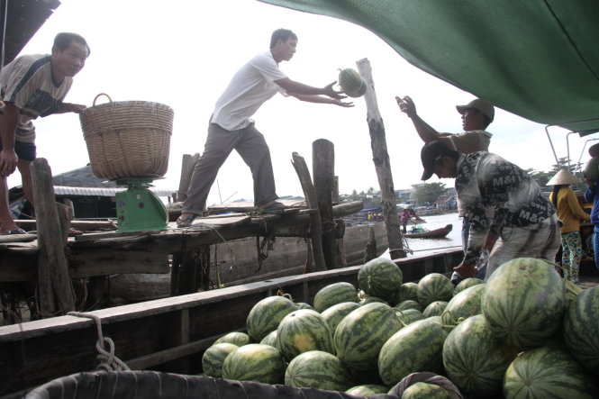 Cảnh mua bán trái cây tại chợ nổi Cái Răng, một trong những chợ nổi hiếm hoi còn sót lại tại ĐBSCL  Ảnh: C.Q.