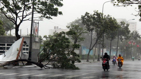 Miền bắc sẽ có mưa rào