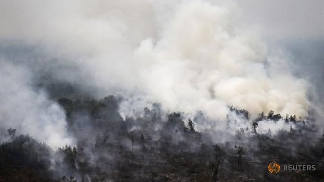 Cháy rừng tại Sumatra, Indonesia gây ô nhiễm chất lượng không khí nghiêm trọng Ảnh: Reuters