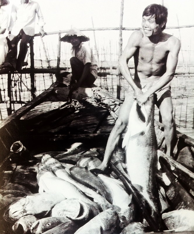 Trúng mùa cá đường ở Cà Mau, giữa thập niên 1980. Hình ảnh này nay không còn thấy nữa - Ảnh: Nguyễn Hiệp