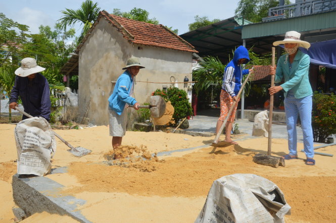 Các thành viên tổ hợp tác chia sẻ ngày công san lấp nền nhà cho một thành viên trong tổ - Ảnh: Thanh Ba