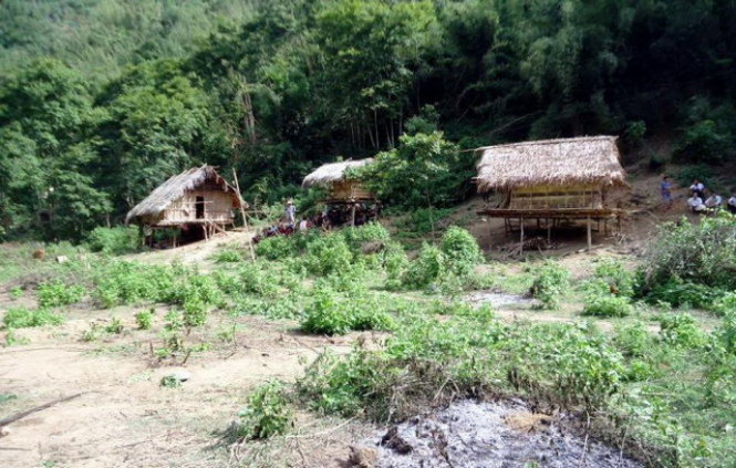 Khu vực lán gia đình anh Lo Văn Thọ ở khu C5 Kèn Tạ, bản Phồng, xã Tam Hợp, huyện Tương Dương (Nghệ An)