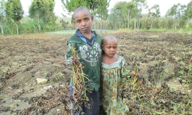 Một ngôi làng ở  Papua New Guinea đang trải qua đợt khô hạn nhất trong 20 năm qua - Ảnh: Guardian
