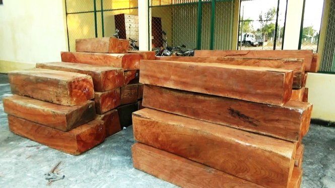 Số gỗ tang vật đang bị tạm giữ tại công an huyện Hàm Tân - Ảnh: N. NAm