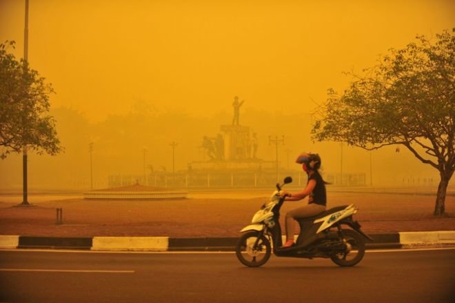 Lượng khói dày đặc biến không khí thành màu vàng tại Palangkarays,tỉnh Kalimantan (BBC)