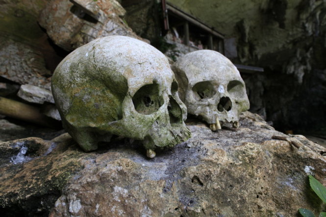 Qua thời gian, những quan tài mục nát khiến các xương, sọ người rơi ra ngoài - Ảnh: Indonesia.travel.
