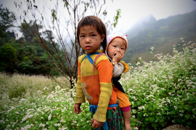 Hai em bé người Mông bên vườn hoa tam giác mạch ở Quản Bạ, Hà Giang ngày 4-11 - Ảnh: Thanh Tùng