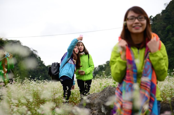 Bạn trẻ Hà Nội chụp ảnh bên vườn hoa tam giác mạch ở xã Quyết Tiến, huyện Quản Bạ, Hà Giang - Ảnh: T.Tùng