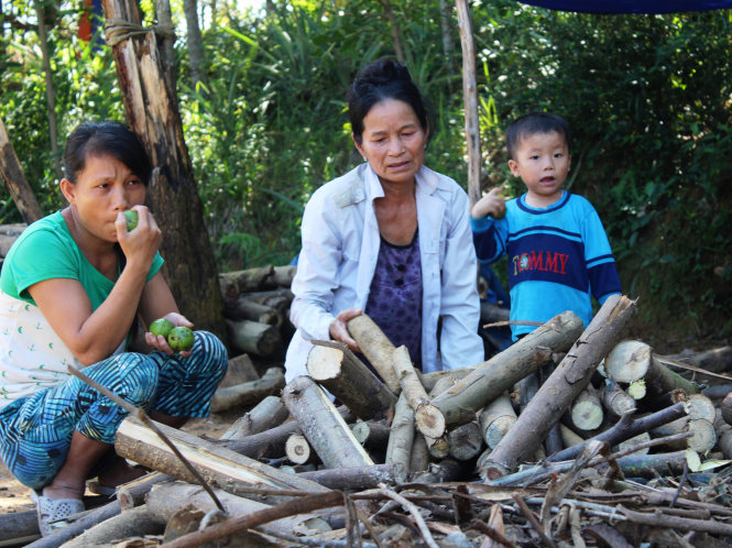 Vì không có đất trồng trọt, bà Huỳnh Thị Gái (ngồi giữa, ở thôn Hòa Bình, xã Bình Thành) phải vào rừng lượm củi để kiếm sống mỗi ngày - Ảnh: An Bang
