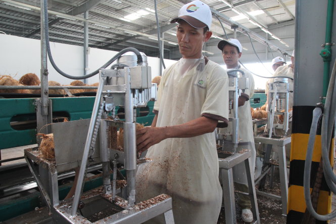 Một công đoạn trong dây chuyền sản xuất nước dừa đóng hộp ở Nhà máy Thành Thành Công - Ảnh: M.Trường