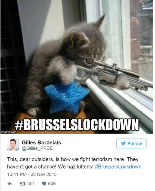 “Đây là cách người Bỉ chúng tôi chống bọn khủng bố. Chúng không có cơ hội nào hết, vì chúng tôi có mèo con!” – Ảnh: Twitter