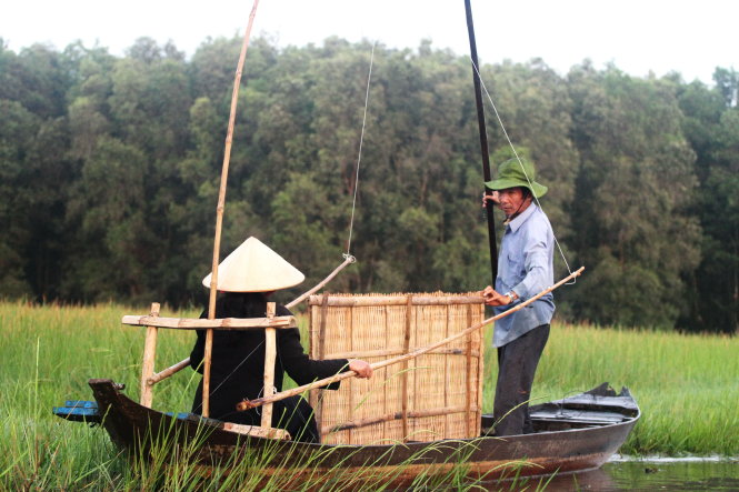 Chiếc xuồng với dụng cụ gặt lúa ma nhưng không thể tìm thấy lúa chín khi mặt trời lên - Ảnh: V.Tr.