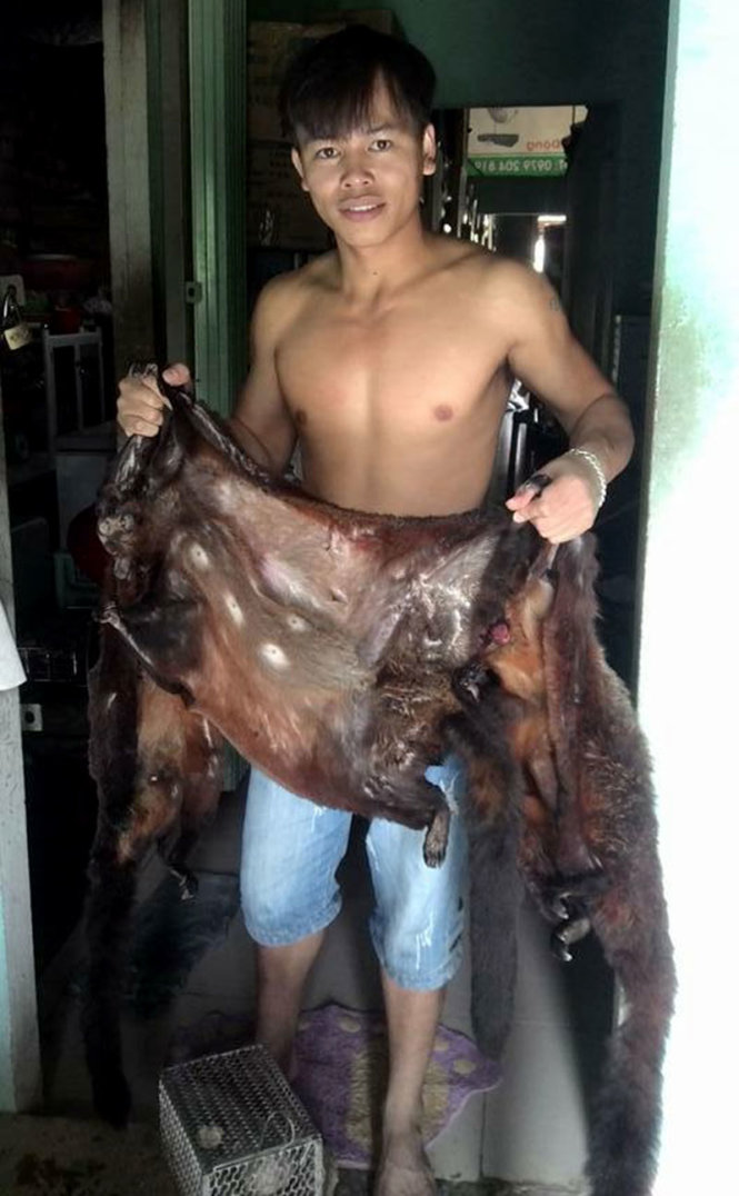 Ông Thiều Quốc Kỳ, cán bộ Trung tâm khuyên nông huyện Tây Giang, chụp ảnh bên 3 con chồn bay và cho rằng chụp để “tuyên truyền bảo vệ động vật hoang dã” - Ảnh chụp lại Facebook của ông Kỳ.