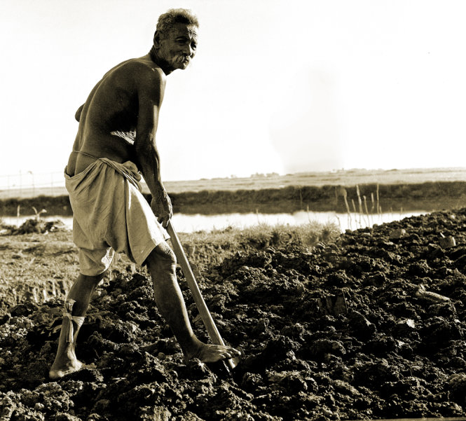 Một nông dân ngoại thành Sài Gòn năm 1957 - Ảnh sưu tầm của Tam Thái