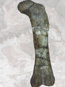 bobD5rGi.jpg
