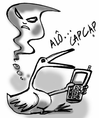 mP1PHojo.jpg