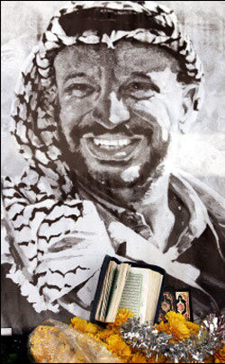 8DNciZlu.jpg