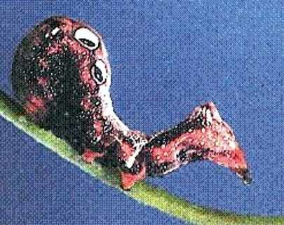 uQV5jCFg.jpg
