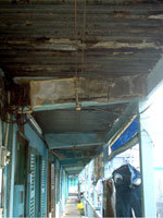 rnjO88j8.jpg