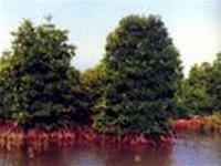 W1t42Gxc.jpg