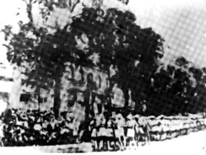 B70IxMLL.jpg