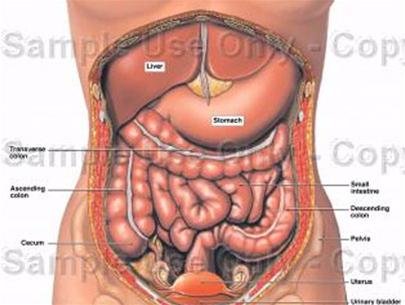 Các bệnh liên quan đến triệu chứng sôi bụng