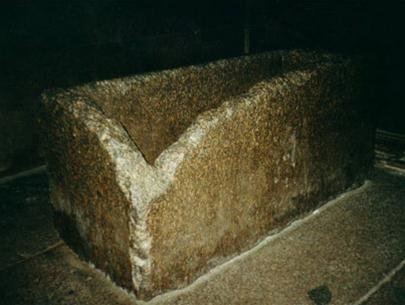 PflMyx46.jpg