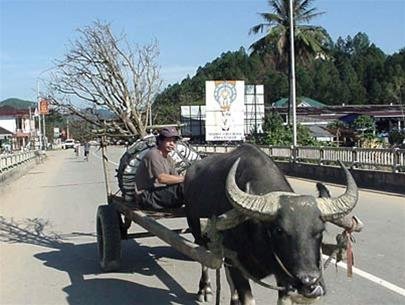 cDiNAo8d.jpg