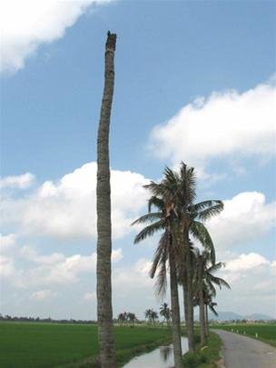 7rdVaBCw.jpg