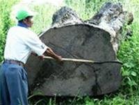zaHYWQKH.jpg