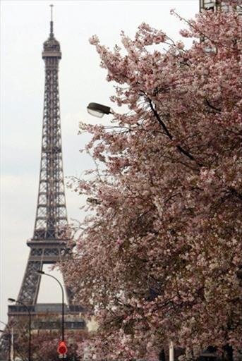 Pháp: tháp Eiffel tiết kiệm điện - Tuổi Trẻ Online
