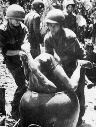 D239zotu.jpg