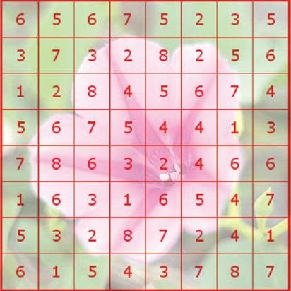 P8vlyJ00.jpg