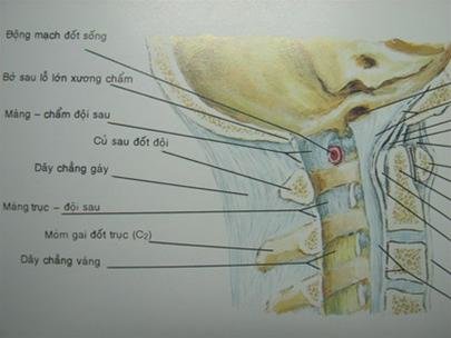 lOh9MQaq.jpg