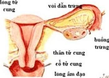 Tầm Quan Trọng Của Việc Chẩn Đoán Sớm