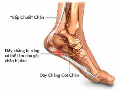 Ngồi Lâu Bị Đau Chân: Nguyên Nhân và Cách Phòng Ngừa