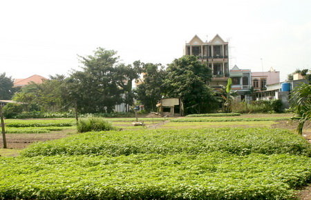 JlypCR21.jpg
