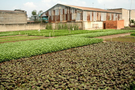 UaWE51U1.jpg