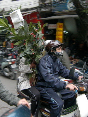 myJr8IdY.jpg