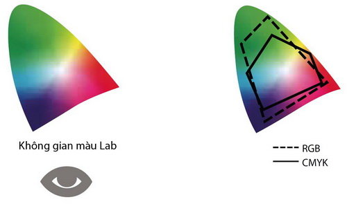 qRh69nMr.jpg