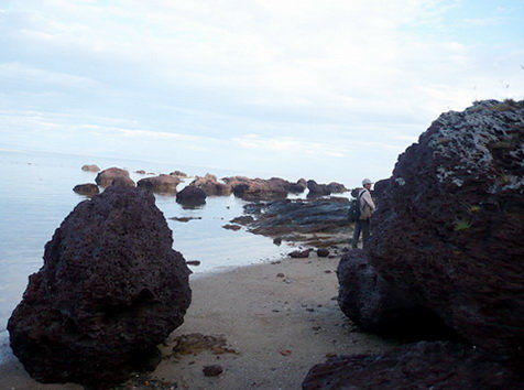 ITdjIelv.jpg