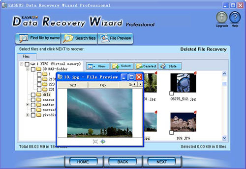 wS1fmmk4.jpg