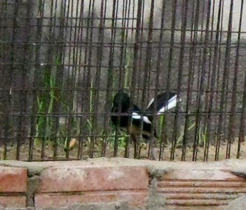 n3YeBZLx.jpg