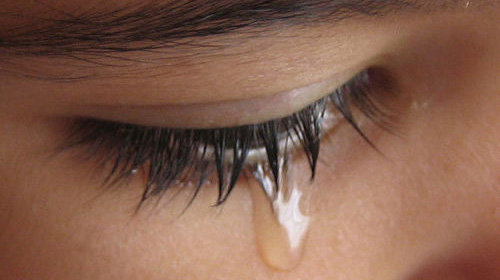 5299zt31.jpg