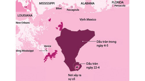 ams676M6.jpg