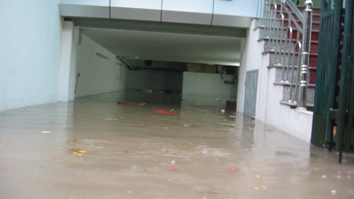RPIz2783.jpg