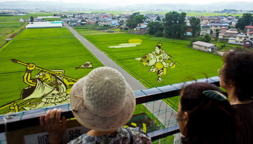 9k1yg1k7.jpg