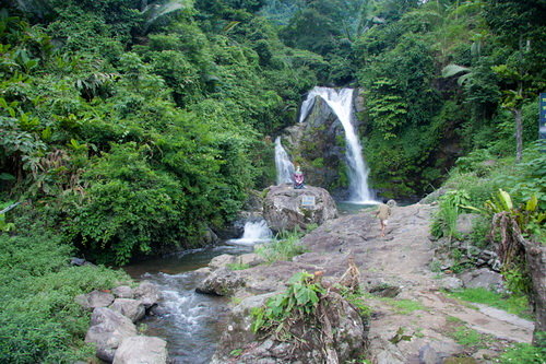 5sz0hPdT.jpg
